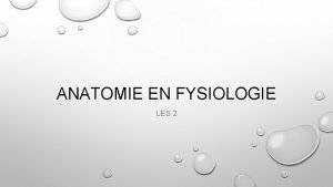 ANATOMIE EN FYSIOLOGIE LES 2 TERUGBLIK VORIGE LES