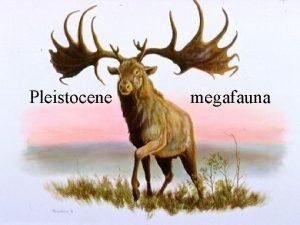 Pleistocene megafauna Reference sites Yukon Beringia Interpretive Centre