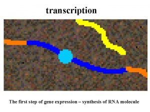 What is the first step in gene expression