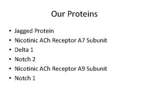 Our Proteins Jagged Protein Nicotinic ACh Receptor A