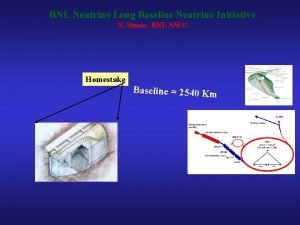 BNL Neutrino Long Baseline Neutrino Initiative N Simos