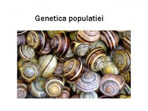 Genetica populatiei Genetica populatiei structura genetica a populatiei