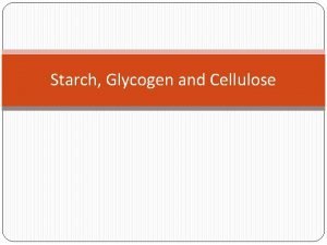 Starch Glycogen and Cellulose Starch Structure Starch is