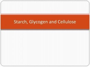 Starch structure