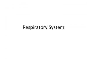 Respiratory System The main function of the respiratory