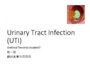 Urinary Tract Infection UTI Urethral Terrorist Incident UTI