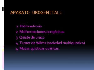 APARATO UROGENITAL 1 Hidronefrosis 2 Malformaciones congnitas 3