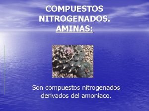 COMPUESTOS NITROGENADOS AMINAS Son compuestos nitrogenados derivados del