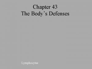 Chapter 43 The Bodys Defenses Lymphocytes I Innate