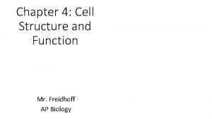 Chapter 4 Cell Structure and Function Mr Freidhoff