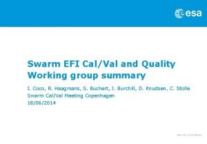 Swarm EFI CalVal and Quality Working group summary