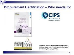 Undp cips