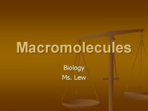 Macromolecules Biology Ms Lew Vocabulary n Macromolecule n