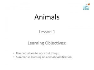 Animals Lesson 1 Learning Objectives Use deduction to