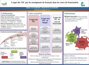 Usages des TIC par les enseignants de franais