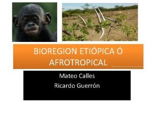 BIOREGION ETIPICA AFROTROPICAL Mateo Calles Ricardo Guerrn EN