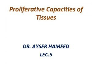 Proliferative Capacities of Tissues DR AYSER HAMEED LEC