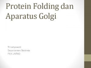 Protein Folding dan Aparatus Golgi Tri setyawati Departemen