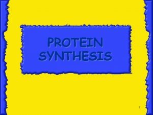 PROTEIN SYNTHESIS 1 Protein Synthesis The production synthesis