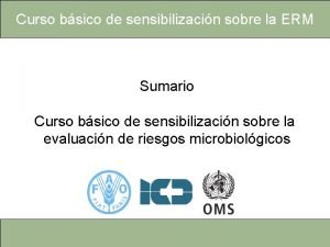 Curso bsico de sensibilizacin sobre la ERM Sumario