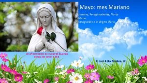 Bienvenido mayo mes de la virgen maria