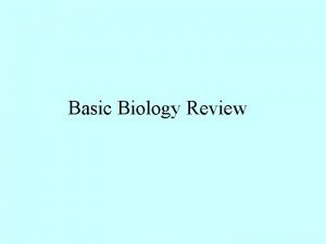 Basic Biology Review Human Body Organization Levels 1