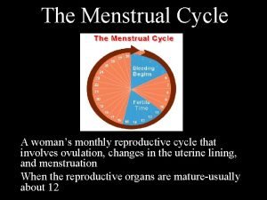 The Menstrual Cycle A womans monthly reproductive cycle