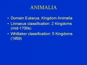 Animalia domain