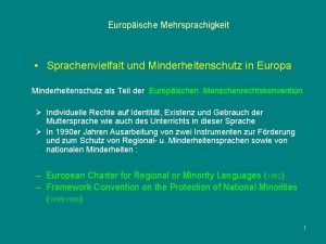 Europische Mehrsprachigkeit Sprachenvielfalt und Minderheitenschutz in Europa Minderheitenschutz