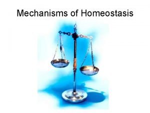Mechanisms of Homeostasis Homeostasis is like your homes