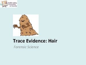 Trace Evidence Hair Forensic Science Copyright and Terms