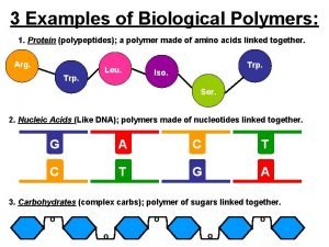 Biological polymers examples