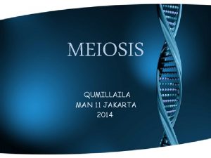 Faktor pembanding mitosis dan meiosis