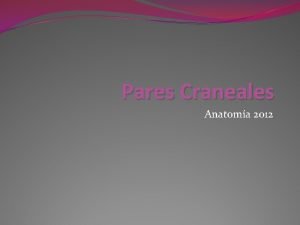 Pares Craneales Anatoma 2012 Los nervios craneales con