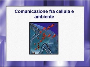 Comunicazione fra cellula e ambiente Omeostasi Capacit di