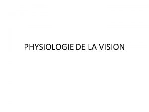 Physiologie de la vision