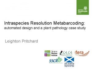 Intraspecies Resolution Metabarcoding automated design and a plant