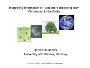 Integrating Information on Biosphere Breathing from Chloroplast to
