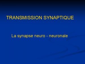 Synapse neuro neuronale
