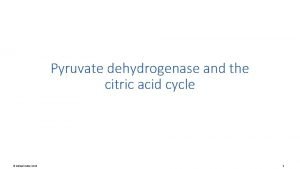 Pyruvate to acetyl coa