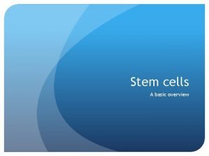 Stem cells A basic overview Stem cells What