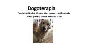 Dogoterapia Specjalny Orodek Szkolno Wychowawczy w Kluczborku W