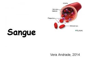 Sangue Vera Andrade 2014 Sangue Tecido conjuntivo lquido