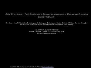 Fetal Microchimeric Cells Participate in Tumour Angiogenesis in