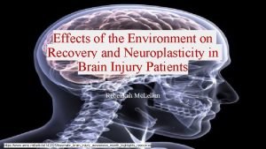 Effects of the Environment on Recovery and Neuroplasticity