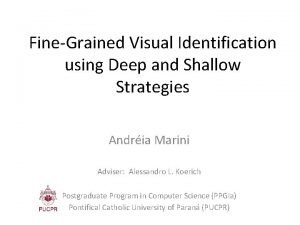 FineGrained Visual Identification using Deep and Shallow Strategies