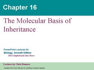 The molecular basis of inheritance chapter 16