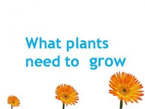 What plants need to grow We need to