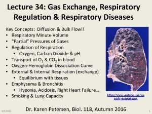 Lecture 34 Gas Exchange Respiratory Regulation Respiratory Diseases