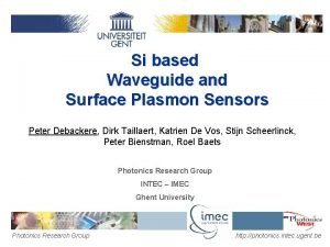 Si based Waveguide and Surface Plasmon Sensors Peter